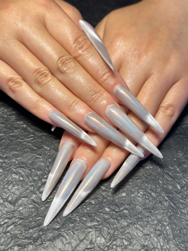 Shiny Stiletto Nails for Glam Look